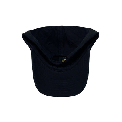 PAID. Dad Hat
