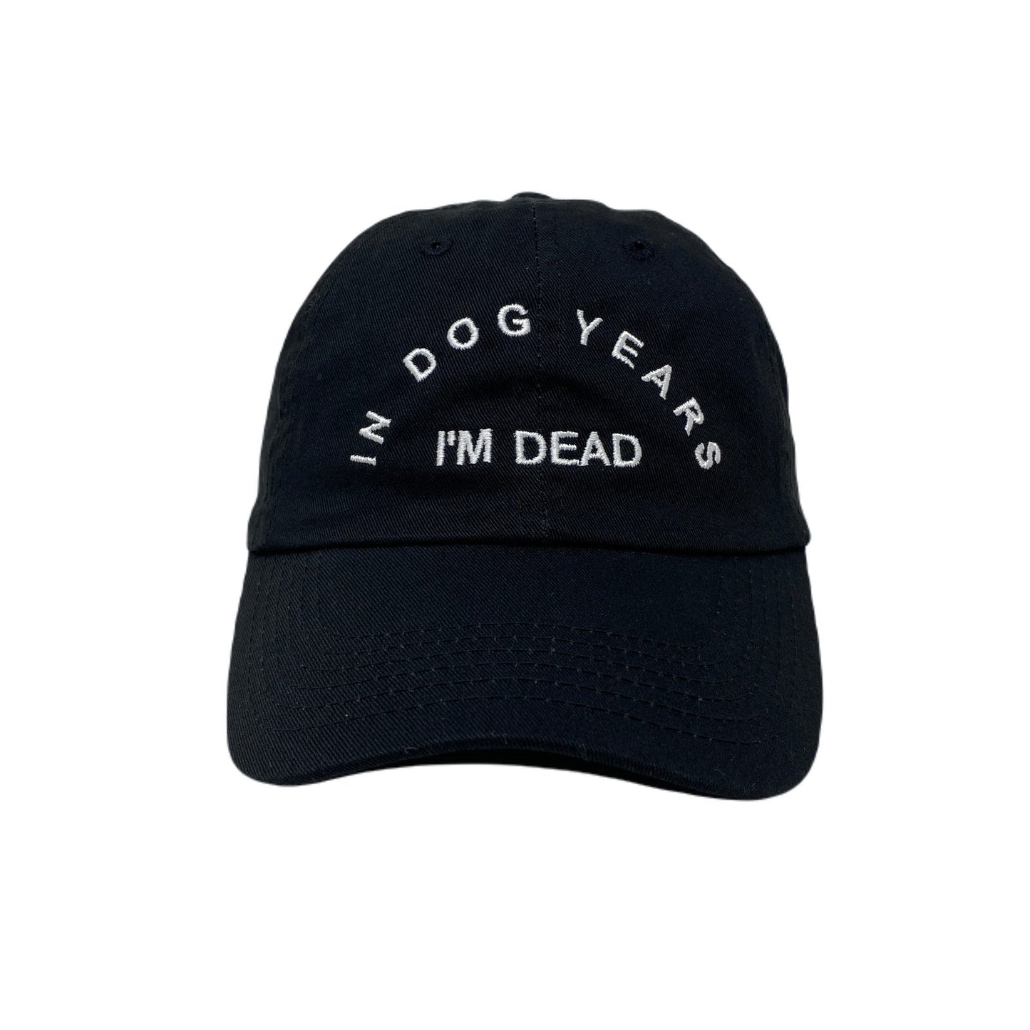 In Dog Years I’m Dead RIP Dad Hat