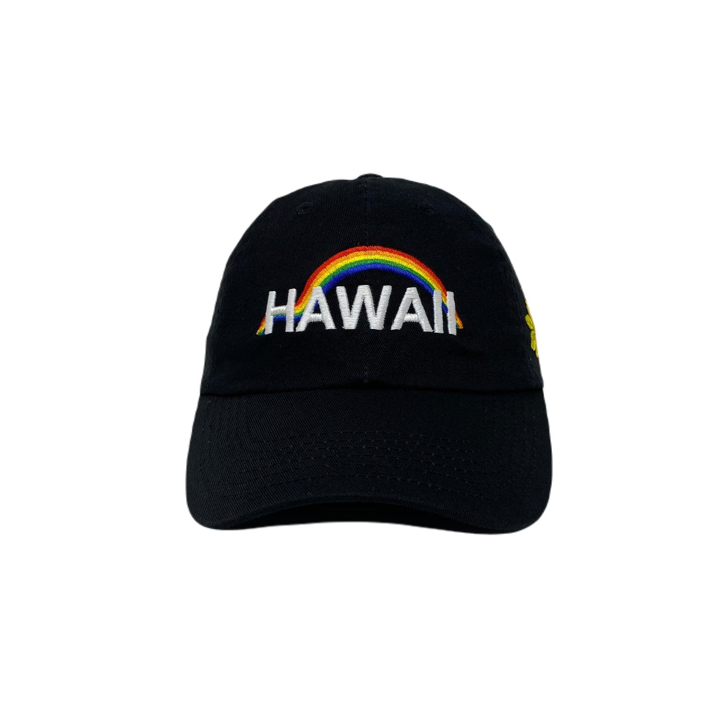 Hawaii Rainbow Dad Hat