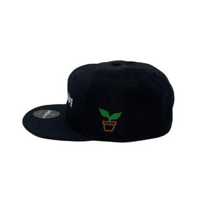 Plant Daddy Snapback Hat All Black