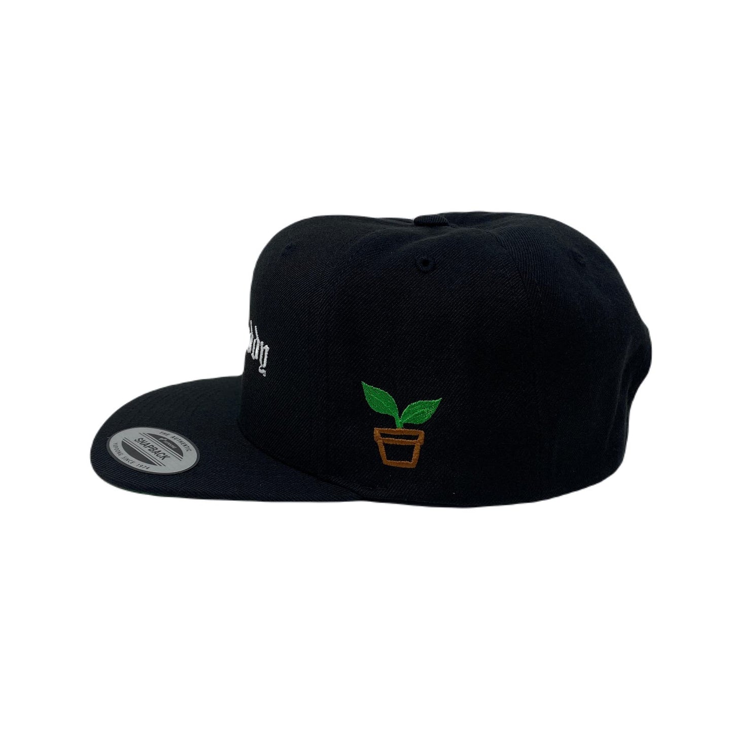 Plant Daddy Snapback Hat