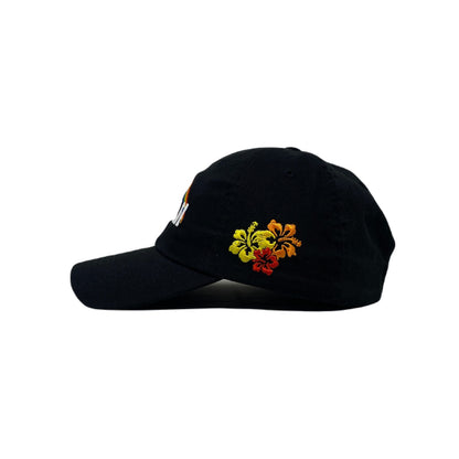 Hawaii Rainbow Dad Hat